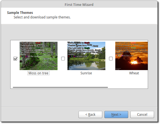 _images/007-first-time-wizard-themes.png