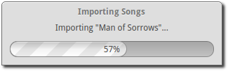 _images/011-first-time-wizard-song-import.png